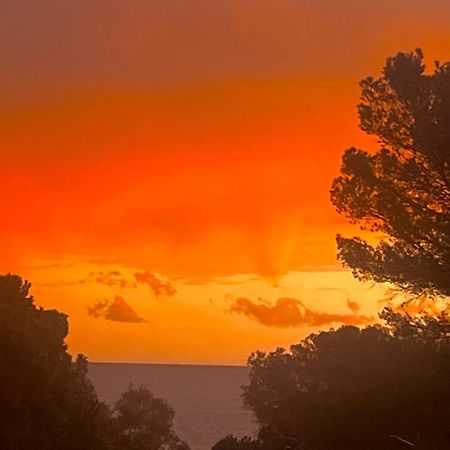 Maison Classee Sur Le Golfe De St Tropez Сен-Тропе Экстерьер фото